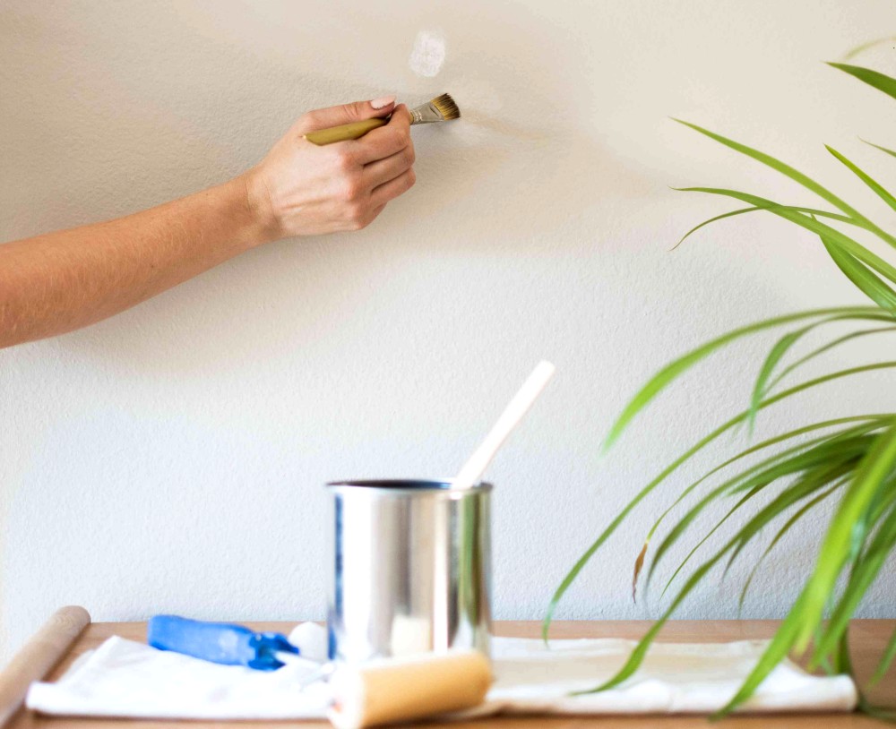 Parrotones offers a new Membership plan for wall painting and repainting, providing clients with various subscription options, flexible pricing, and guaranteed high-quality results.