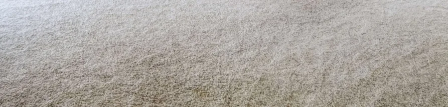 A close-up of a light gray or off-white shag carpet texture, showing individual fibers and subtle areas of wear or dirt.