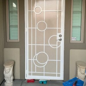 Security Screen Door Painting