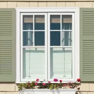 Shutters Painting