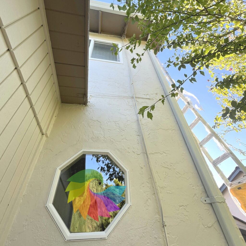 Transform your home's exterior with Parrotones—experts in siding replacement, waterproofing, and precision painting. Discover what makes us California’s best in exterior renovations! #DaringColors