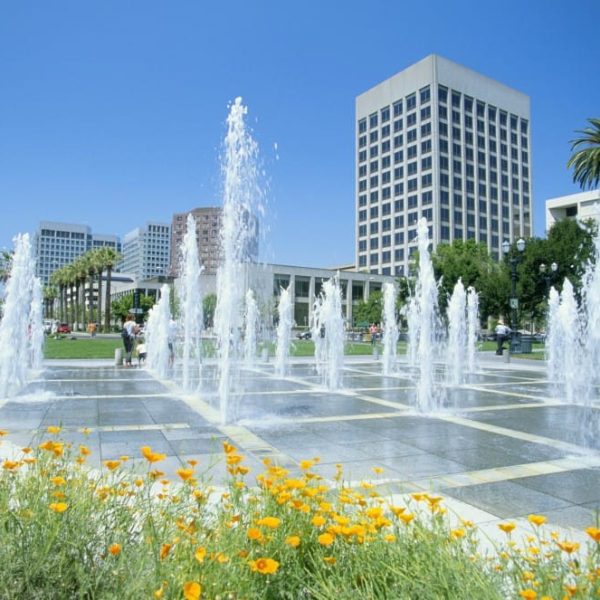 Parrotones - San Jose Exterior Painting Company