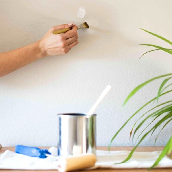 Parrotones offers a new Membership plan for wall painting and repainting, providing clients with various subscription options, flexible pricing, and guaranteed high-quality results.